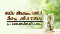 കയ്യിൽ എത്ര പണമുണ്ട്, മികച്ച പലിശ നേടാൻ സ്ഥിര നിക്ഷേപം നടത്താം, ഈ ബാങ്കുകൾ മികച്ച പലിശ നൽകും