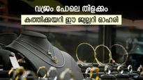 6 മാസത്തിനിടെ 222 ശതമാനം ലാഭം, നിക്ഷേപകരെ പണക്കാരനാകുന്ന ഓഹരി ഇതാണ്, എൽഐസിയുടെ പിന്തുണയും