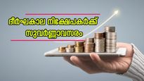 5 വർഷം കൊണ്ട് കുതിച്ചുയരുന്ന 3 ഓഹരികൾ, ദീർഘകാല നിക്ഷേപകർക്ക് സുവർണ്ണാവസരം 