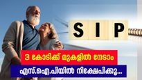 3 കോടിക്കു മുകളിൽ സമ്പാദിക്കാം; എസ്.ഐ.പിയിൽ നിക്ഷേപിച്ച് റിട്ടയർമെന്റ് ജീവിതം ആസ്വദിക്കൂ...