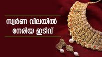 ഇന്നലെ കയറിയപ്പോൾ ഇന്ന് ഇറങ്ങി, സ്വർണ വിലയിൽ നേരിയ ഇടിവ്; ഈ വിലക്കുറവ് ആശ്വാസകരമല്ല