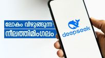 'ലോകം വിഴുങ്ങിക്കൊണ്ടിരിക്കുന്ന ആ ഭീമൻ തിമിംഗലത്തിന് പിന്നിൽ ആരാണ്?', ഡീപ് സീക് പൊളിയല്ലേ