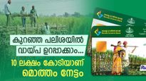 കിസാൻ ക്രെഡിറ്റ് കാർഡ്: കുറഞ്ഞ പലിശയിൽ 12 മാസത്തേക്ക് വായ്പ തിരിച്ചടക്കാം, കോടികളാണ് നിലവിലെ നേട്ടം