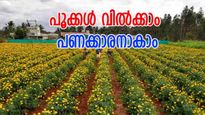 'വെറും പൂക്കൾ വിറ്റാൽ മാസം ലക്ഷങ്ങൾ ലാഭം', വിശ്വസിക്കുന്നുണ്ടോ? പക്ഷെ, സത്യമാണ്: പണിയെടുക്കൂ...