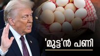  'ട്രംപിന് പണി മുട്ടയിൽ', കിട്ടാനില്ല, വില റോക്കറ്റ് പോലെ കുതിച്ചുയരുന്നു: ഇന്ത്യയ്ക്ക് പ്രശ്നം എന്തെങ്കിലും?