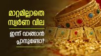പെണ്ണിന് പൊന്ന് വേണോ? ഇന്ന് മാറ്റമില്ലാതെ സ്വർണ വില; രാജ്യാന്തര വിപണിയിൽ സ്വർണ വില ഉയർന്നു