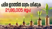 137 രൂപ നിക്ഷേപിക്കാനുണ്ടോ? ഈ സർക്കാർ നിക്ഷേപ പദ്ധതിയിൽ 34 ലക്ഷം രൂപ സമ്പാദിക്കാം