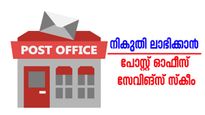 സ്കീമൊന്നും വേണ്ട പോസ്റ്റ് ഓഫീസിൽ സേവിങ്സ് അക്കൗണ്ട് മതി, ടാക്സ് നിറയെ ലാഭിക്കാം: എങ്ങനെ എന്നറിയണ്ടേ?