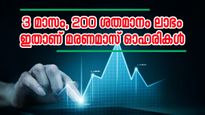 തകർച്ചയിലും കരുത്ത് കാട്ടിയവർ, ഈ വർഷം മാത്രം നൽകിയത് 217 ശതമാനം ലാഭം, ഇവരാണ് ആ കരുത്തർ  