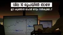 എൽഐസിയുടേയും വിദേശ നിക്ഷേപരുടേയും പ്രിയപ്പെട്ട കമ്പനി, കടബാധ്യത ഇല്ല, ഈ പെന്നി ഓഹരി ലോട്ടറിയാകുമോ..?