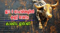 വില 36 രൂപ മുതൽ, വിദേശ നിക്ഷേപകർ കൂട്ടത്തോടെ വാങ്ങിക്കൂട്ടുന്ന ഓഹരികൾ ഇവയാണ്, കീശ നിറയുമോ..?