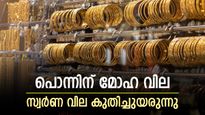 താരിഫ് തർക്കത്തിൽ നിലയുറപ്പിച്ച് സ്വർണം: കേരളത്തിൽ വില കത്തിക്കയറുന്നു, ആഭരണപ്രേമികൾ നിരാശയിൽ
