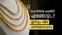 കൈവിട്ടു പോയോ..? ഇന്നും സ്വർണ വില കത്തിക്കയറുന്നു, പവൻ 73,000 കടന്നു- ആഭരണപ്രേമികൾ നിരാശയിൽ