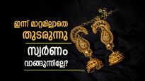 ഇന്ന് അൽപം സൈലൻ്റാണ്: സംസ്ഥാനത്തെ സ്വർണ വില മാറ്റമില്ലാതെ തുടരുന്നു, രാജ്യാന്തര വില കുതിച്ചുയരുന്നു