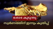 തിളക്കം മങ്ങാതെ! സംസ്ഥാനത്ത് സ്വർണ വില ഇന്നും മുന്നേറ്റത്തിൽ, പവൻ 73,000 കടന്നു: താരിഫ് യുദ്ധം പിടിവള്ളിയായി