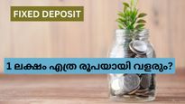 1 വർഷത്തെ എഫ്ഡിയിൽ 1 ലക്ഷം നിക്ഷേപിച്ചാൽ ഉയർന്ന വരുമാനം ഈ സ്വകാര്യ ബാങ്കിൽ? കണക്കുകൾ ഇതാ