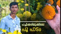 പൂ കൃഷിയിൽ വിജയം കൊയ്യുന്ന 17 -കാരൻ, സൂര്യന് കൂട്ട് കുടുംബവും യൂട്യൂബും, ഇതാണ് വയനാടൻ മാതൃക 