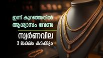 സ്വർണവില 3 ലക്ഷം കടക്കും, ഹൃദയം തകർക്കുന്ന പ്രവചനം ഇതാ, ഇനി സ്വർണത്തെ മറക്കാം