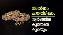 പവന് 28,000 രൂപ കുറവിൽ സ്വർണം വാങ്ങാം, അൽപ്പം കാത്തിരുന്നാൽ മതി, ഇടിവിന്‍റെ കാരണം പറഞ്ഞ് വിദഗ്ധർ