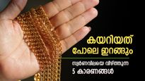 Gold Rate: സ്വർണവില കണ്ട് തലകറങ്ങേണ്ട, പൊന്ന് താഴേക്ക് വീഴും, ഇതാ അഞ്ച് കാരണങ്ങൾ