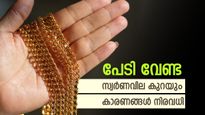 Gold Price: സ്വർണവില കണ്ട് പേടിക്കേണ്ട, കുത്തനെ കുറയുമെന്ന് വിദഗ്ധർ, കാരണങ്ങൾ നിരവധി