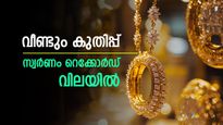 സ്വർണത്തിന് പൊന്നും വില! പവന് 91,000 കടന്നു, ആഭരണം വാങ്ങാൻ എത്ര രൂപ കരുതണം? ആശങ്ക ഉയരുന്നു