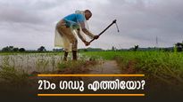 PM Kisan 21st Installment: എല്ലാ കർഷകർക്കും 2,000 രൂപ എത്തിയോ? ഈ പദ്ധതിയിൽ നിങ്ങളും ഉണ്ടോ? അറിയാം