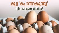 കേരളനാട്ടിൽ മുട്ടയ്ക്ക് 7.50 രൂപ, കുതിപ്പിന് പിന്നിലെ കാരണം ഇതാണ്, മുട്ട റോസ്റ്റിന്‍റെ വില കൂട്ടി ഹോട്ടലുകൾ