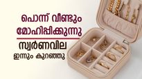 Gold Rate Today: കുറഞ്ഞത് 1,440 രൂപ, സ്വർണവില താഴേക്ക് വീഴുന്നു, ഒരുപവൻ വാങ്ങാൻ എത്ര വേണം..? 