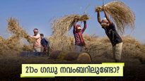 PM Kisan 21st instalment: പിഎം കിസാൻ 21ാം ​ഗഡു നവംബറിലുണ്ടോ? കർഷകർ കാത്തിരിക്കുന്ന പ്രഖ്യാപനം ഉടൻ