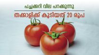 കുടുംബ ബജറ്റ് താളം തെറ്റിച്ച് തക്കാളിയും മുരിങ്ങയും, വില കത്തിക്കയറുന്നു, ചതിച്ചത് താളം തെറ്റിയ മഴ