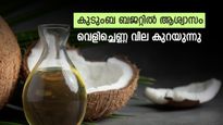 വർഷാവസാനം വീട്ടമ്മമാർക്ക് ആശ്വാസം, വെളിച്ചെണ്ണ വില കുറയുന്നു, ലീറ്റർ വില 300 രൂപയിൽ താഴും