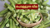 സാമ്പാറിന് ഇനി മുരിങ്ങക്കായ വേണോ? മുരിങ്ങക്കായക്ക് പൊന്നും വില; ശബരിമല സീസണിലും വിലക്കയറ്റം ശക്തം