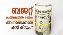 കേന്ദ്ര ബജറ്റിന് 10 ദിവസം, എന്തൊക്കെ പ്രഖ്യാപനങ്ങൾ പ്രതീക്ഷിക്കണം, സാധാരണക്കാരന് എന്തൊക്കെ പ്രതീക്ഷിക്കാം?