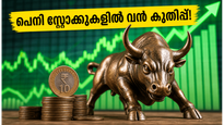 പത്ത് രൂപയിൽ താഴെയുള്ള ഓഹരികളിൽ വൻ കുതിപ്പ്; നിക്ഷേപകർ അറിയേണ്ട ഞെട്ടിക്കുന്ന സത്യങ്ങൾ ഇതാ!