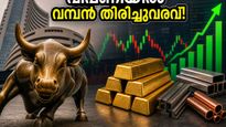 വിപണിയിൽ വമ്പൻ തിരിച്ചുവരവ്! തകർച്ചയ്ക്ക് ശേഷം മെറ്റൽ ഓഹരികൾ കുതിക്കുന്നു, ഐടി മേഖലയിൽ ഇനിയും തളർച്ചയോ?
