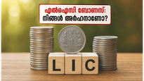 എൽഐസി ബോണസ് ഓഹരികൾ: നിങ്ങളുടെ അക്കൗണ്ടിൽ ഓഹരികളുണ്ടോ? ഈ തീയതിക്ക് മുൻപ് അറിയേണ്ട നിർണ്ണായക വിവരങ്ങൾ ഇതാ!