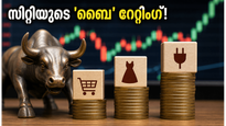 ടൈറ്റൻ, ഹാവെൽസ് ഓഹരികളിൽ വൻ കുതിപ്പിന് സാധ്യത; സിറ്റിയുടെ 'ബൈ' റേറ്റിംഗ് നിക്ഷേപകർക്ക് വലിയ അവസരം!