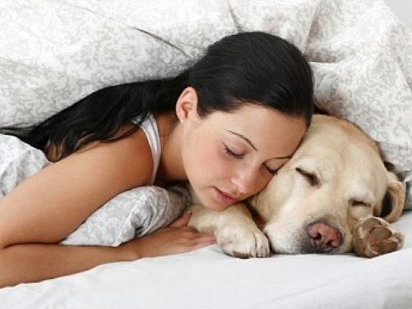 പെറ്റ് ഇൻഷുറൻസ്