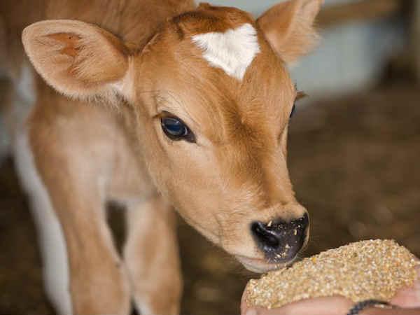 യുഐഡി നമ്പ‍ർ