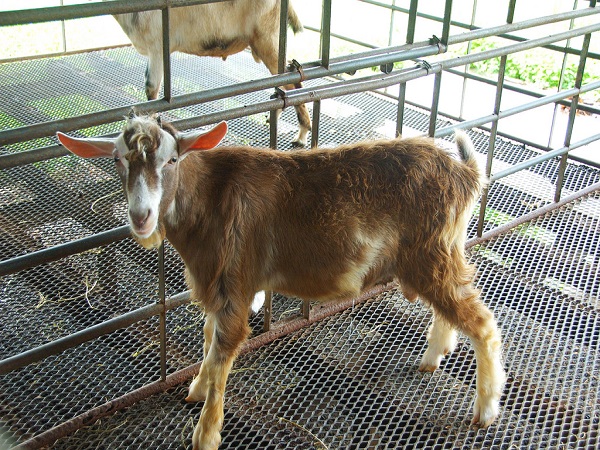 വരുമാനം 10 ലക്ഷം