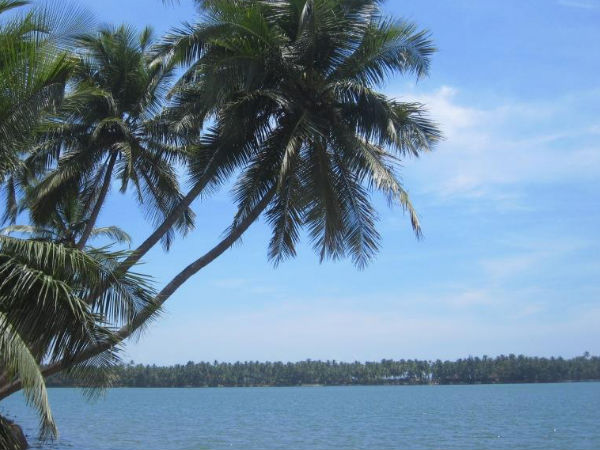 കേരള ടൂറിസം:  പുതിയ പ്രചാരണ പരിപാടികൾ 