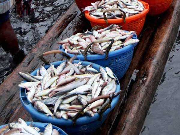 അമോണിയയും ഫോർമാലിനും