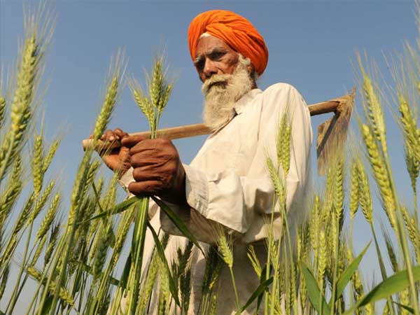 കാര്‍ഷിക കടാശ്വാസം