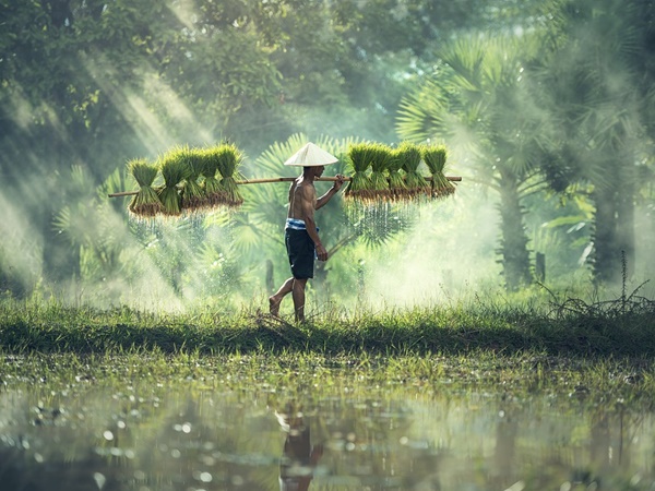 കര്‍ഷകര്‍ക്ക് 6000 രൂപ നല്‍കുന്ന പദ്ധതി ഈ മാസം മുതല്‍