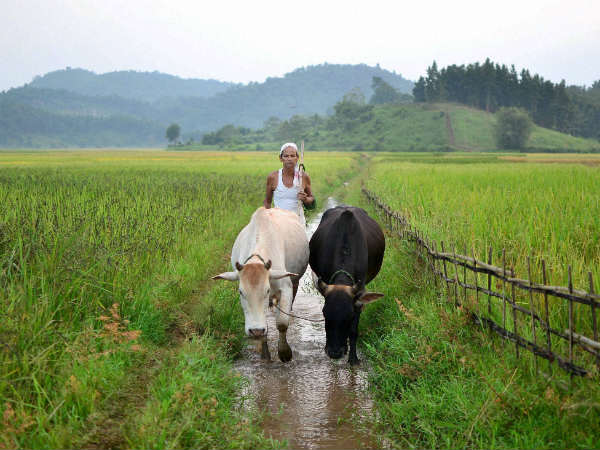 മുന്നില്‍ ഹരിയാനയും ഗുജറാത്തും