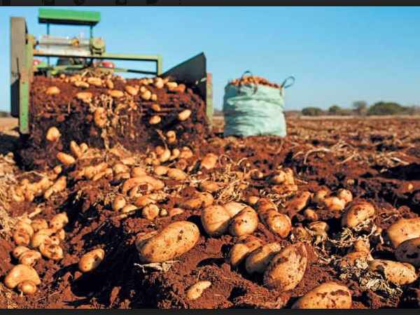 വിത്ത് ഉപയോഗിച്ചതിന് കേസ്