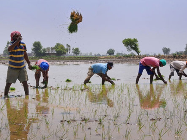 എന്താണ് സീറോ ബജറ്റ് ഫാമിംങ് ?