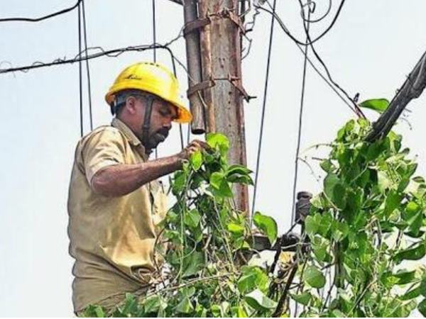 ശരാശരി ബിൽ