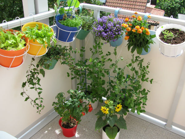 തൈ പത്ത് നട്ടാല്‍